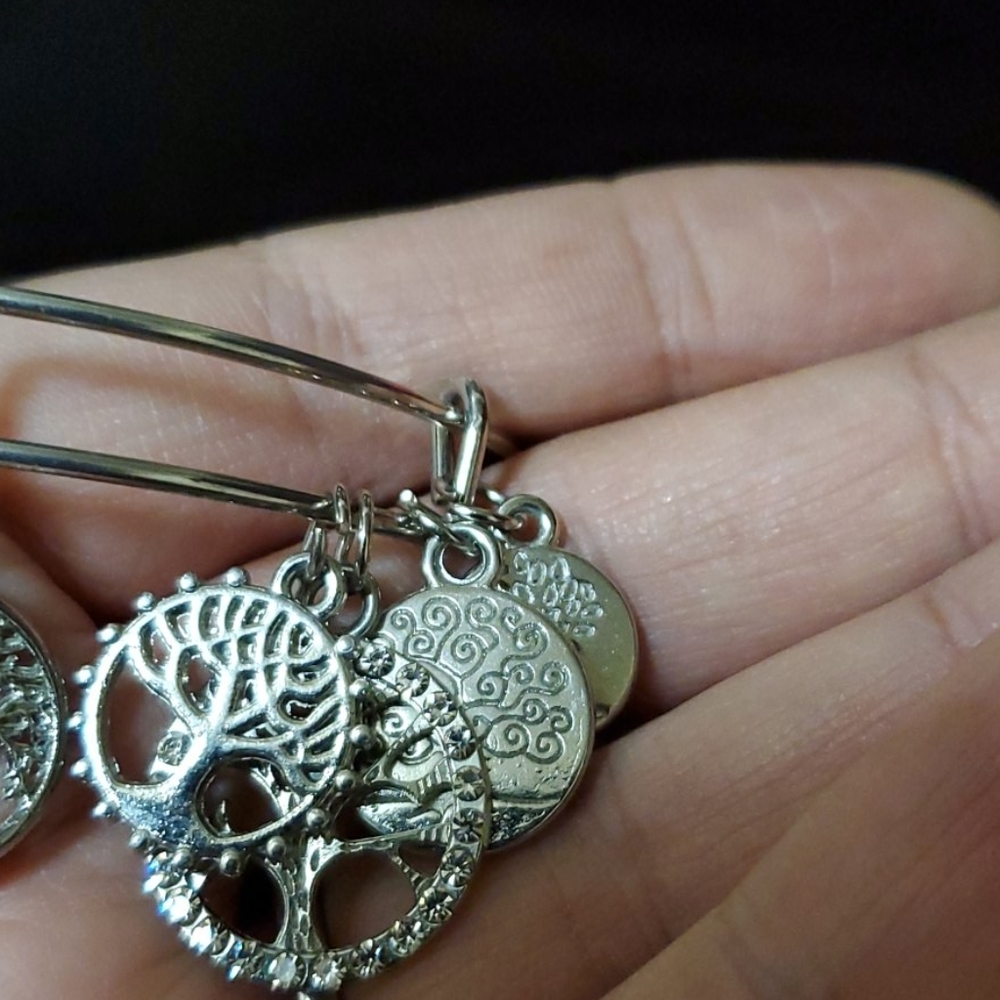 Jewelry - Picture 3 of 3